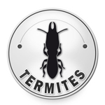 diagnostic termites Marseille